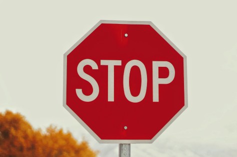 A red stop sign with the letters spelled out in white, with a set of orange leaves on a tree in the background